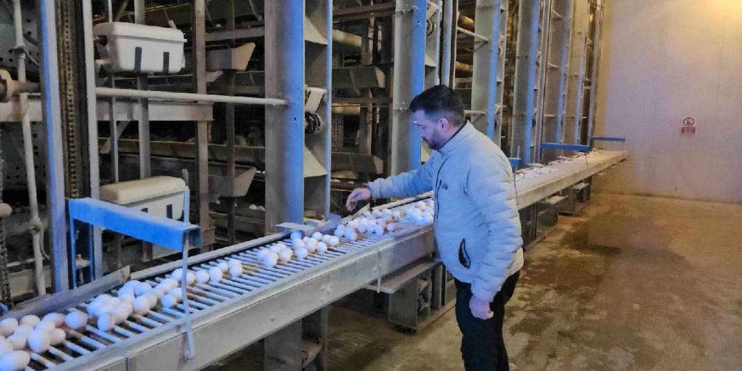 Devlet desteğiyle kurdu, AB standartlarıyla üretime başladı! Talep de üretim de artıyor: Birçok ilin ihtiyacını karşılıyor 1